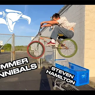 STEVEN HAMILTON - Summer Cannibals