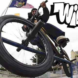 ANIMAL BIKES - WIDDIT PROMO