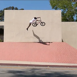 BMX - ANIMAL BIKES - ANIMAL HOUSE LA