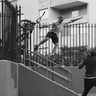 FACTS - ANIMAL BIKES - BMX