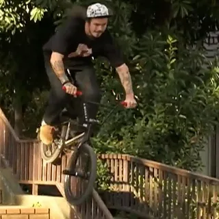 BMX - ANIMAL BIKES - QSS 6 (FULL VIDEO)