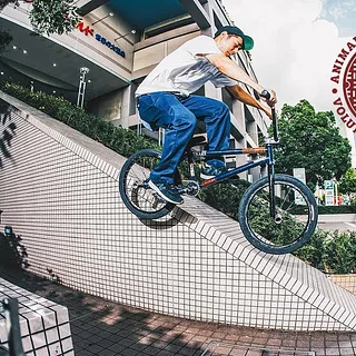 BMX - STREET'S FINEST SERIES - VOL.2: HORIEGUMI