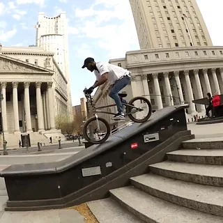 Markus Hoyte - Animal Bikes - BMX
