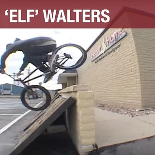BMX - ANIMAL BIKES: SHAWN 'ELF' WALTERS
