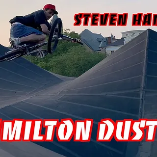 HAMILTON DUSTED - Steven Hamilton.