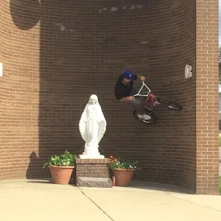 ANIMAL BIKES - STEVEN HAMILTON 2019 (BMX)