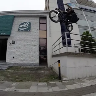 BMX - ANIMAL - DAVID CORREA