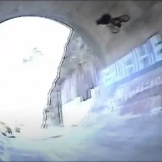 Seal Of Approval // Full Video // 2008