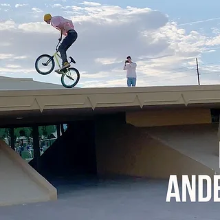 DIG X DAVID ANDERSON