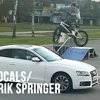 DIG LOCALS: DIRTYCAT 3 - ERIK SPRINGER - Austria