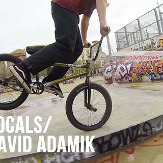 DIG LOCALS - DAVID ADAMIK