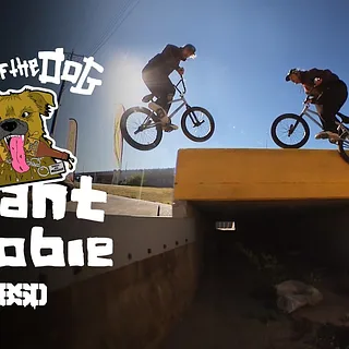 GRANT YOOBIE / Hair of the Dog Video Part / BSD BMX
