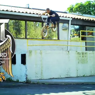 Morgan Long x Hoodbird