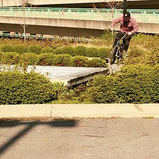 Matt Desson S&M/1664