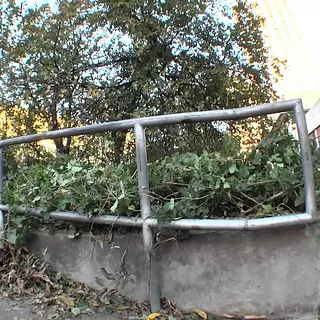 Austin Trip