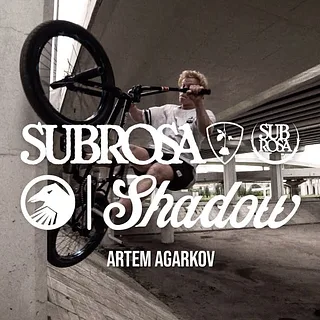 Artem Agarkov 2019