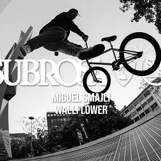 Subrosa Brand - Miguel Smajli  Wallflower