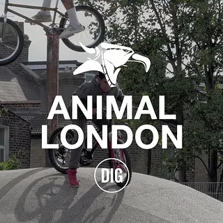 Animal London - DIG BMX
