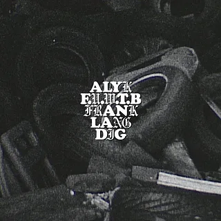 ALYK - FRANKIE LANG - FED UP WITH THE BULLSHIT