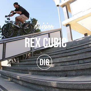 Division Brand - Rex Cubic 2017