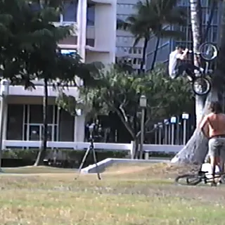 CULTCREW/ JURASSIC PARK 4