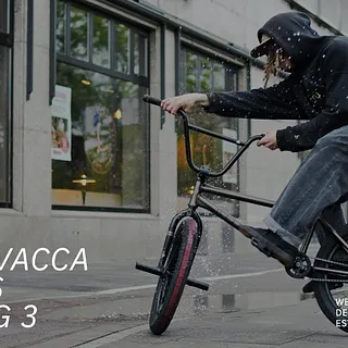 "ALWAYS JIBBING" 3 // GIANO VACCA