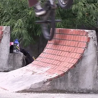WILL JACKSON FOR WTP