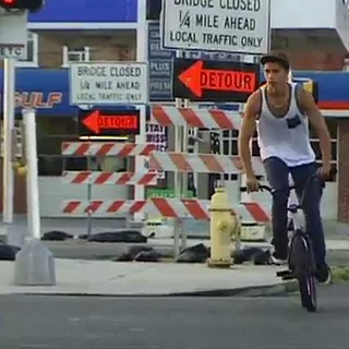 BMX - Chocolate Truck - Animal Bikes QSS6