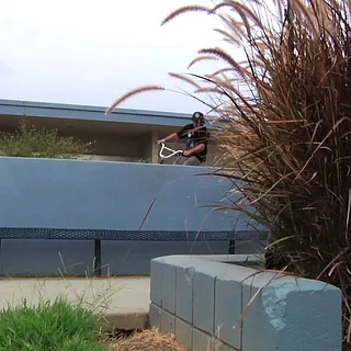 CULTCREW/ VANS SHOE PROMO