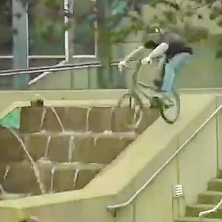 Lotek Vancouver Video