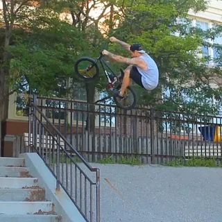 lee dennis - fu666