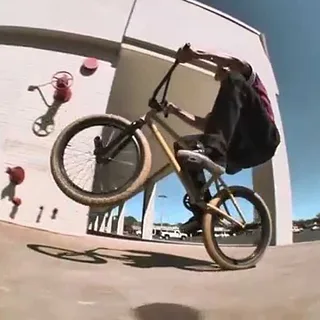 Shane Weston Eclat 2015
