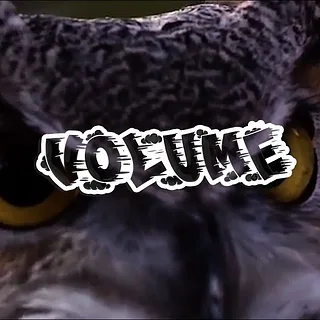 Volume BMX: Trevor Antillon's Night Owl