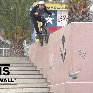 Street Dogs en Chile | BMX | VANS