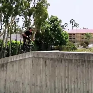 CULTCREW/ DAK ROCHE CULTIFORNIA