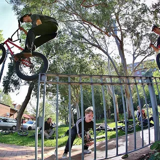 Dylan Steinhardt - Serpent Venom: Tempered Goods X DIG BMX