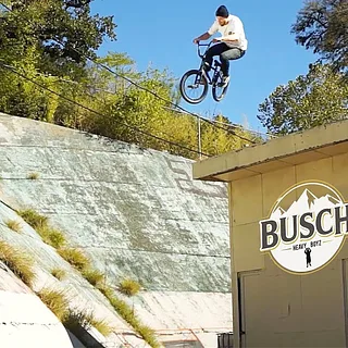BUSCH HEAVY BOYZ DVD