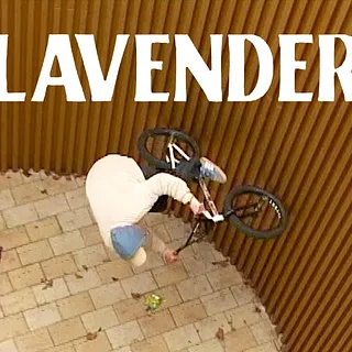 'LAVENDER'