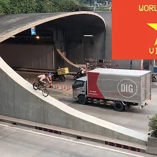 World Deece In Vietnam