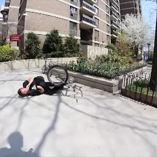 Animal Bikes: Chris Carter - Team SAF/Selectively Altering Framework