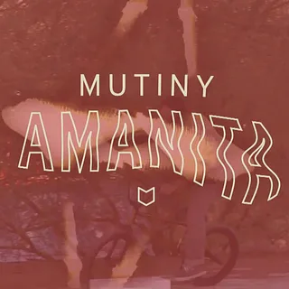 Amanita