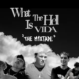 WHAT THE HELL IS V1DA
