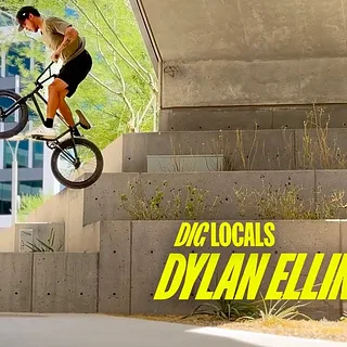 DYLAN ELLINGSON - DIG LOCALS