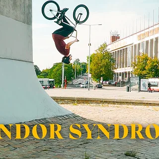 CONDOR SYNDROME - ROBIN PFLUG