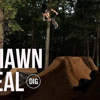 Shawn Real - Low Profile - DIG BMX